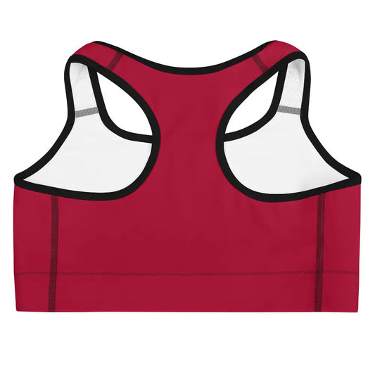 Sports bra-LifessentialsLLC.com