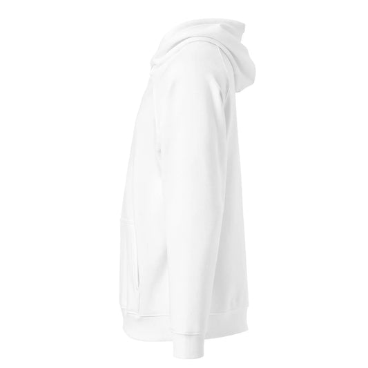 Unisex eco raglan hoodie-LifessentialsLLC.com