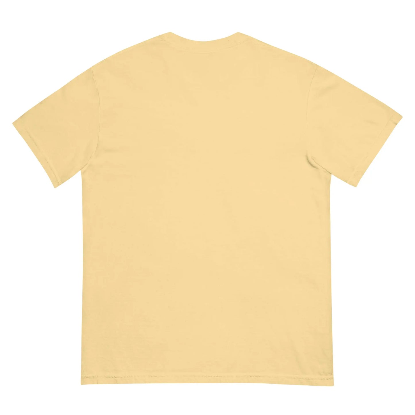 Unisex garment-dyed heavyweight t-shirt-LifessentialsLLC.com