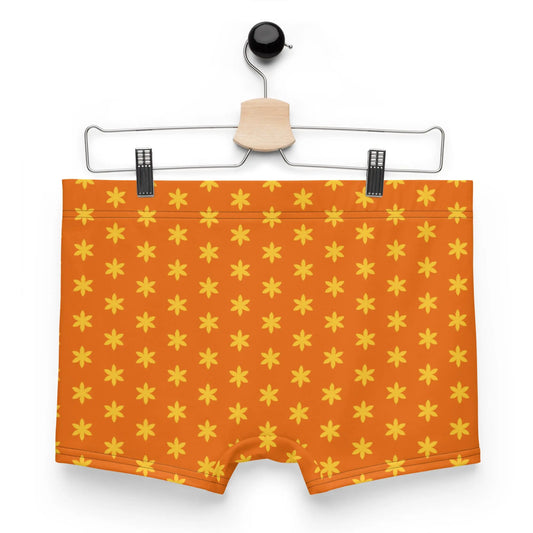 Boxer Briefs-LifessentialsLLC.com
