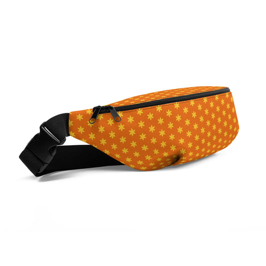 Fanny Pack-LifessentialsLLC.com