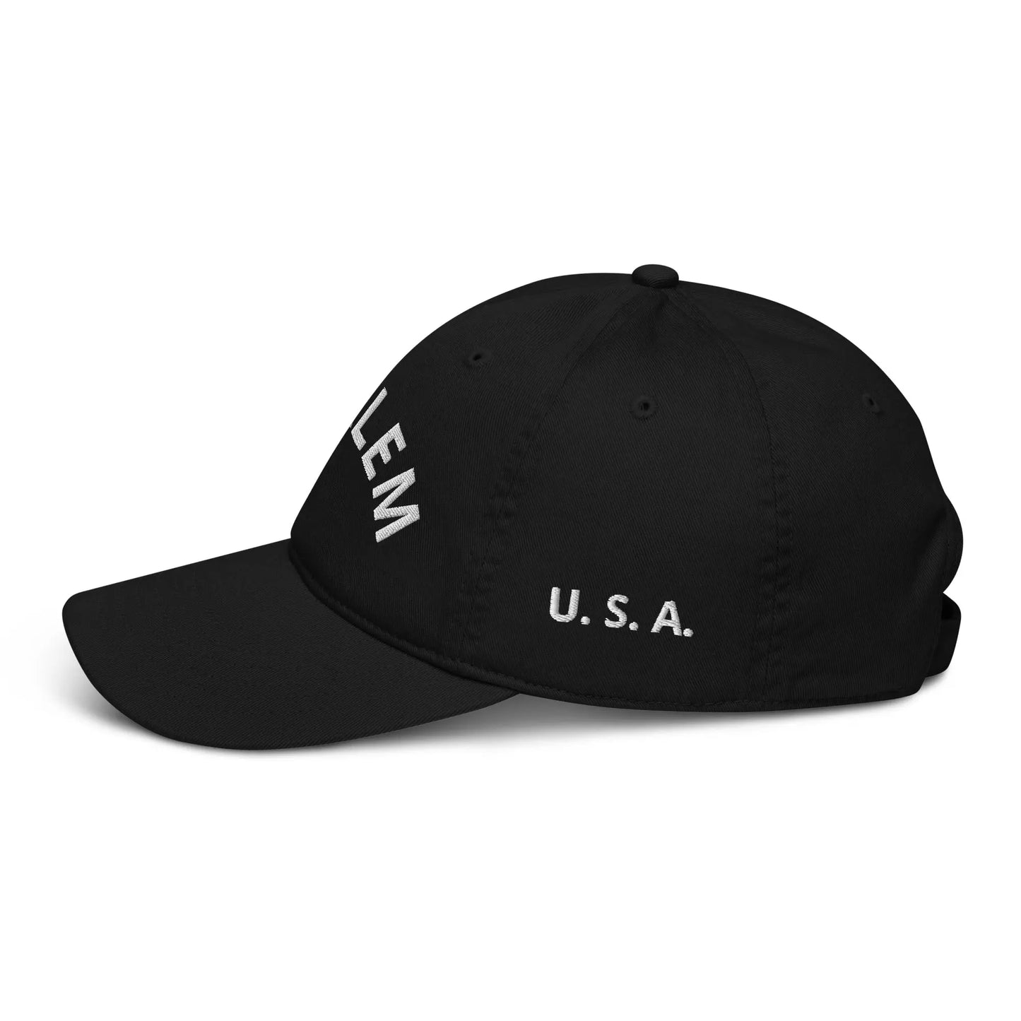 Organic dad hat-LifessentialsLLC.com