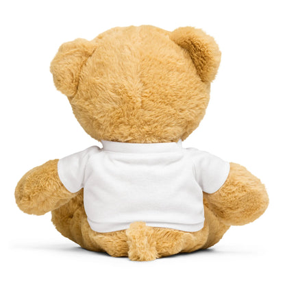 Teddy bear with a t-shirt-LifessentialsLLC.com