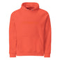 Unisex eco raglan hoodie-LifessentialsLLC.com