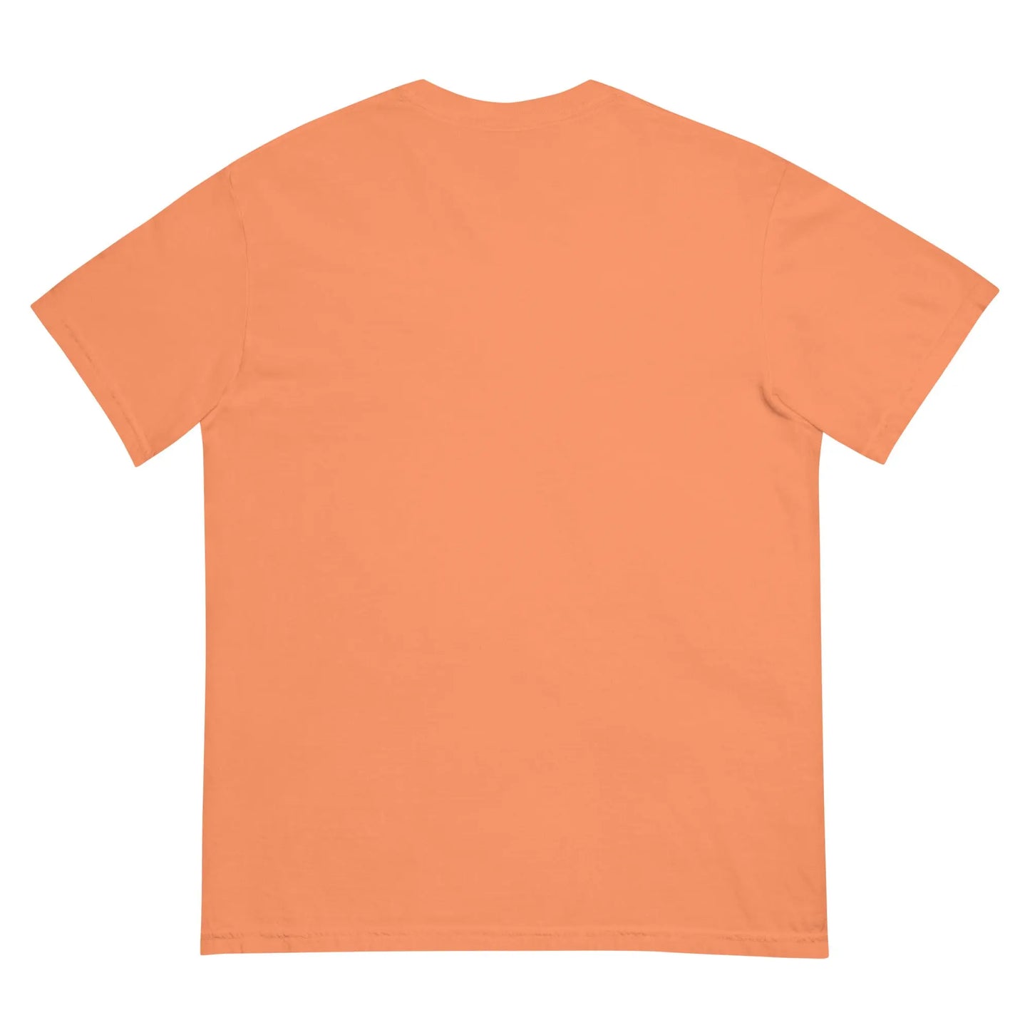 Unisex garment-dyed heavyweight t-shirt-LifessentialsLLC.com