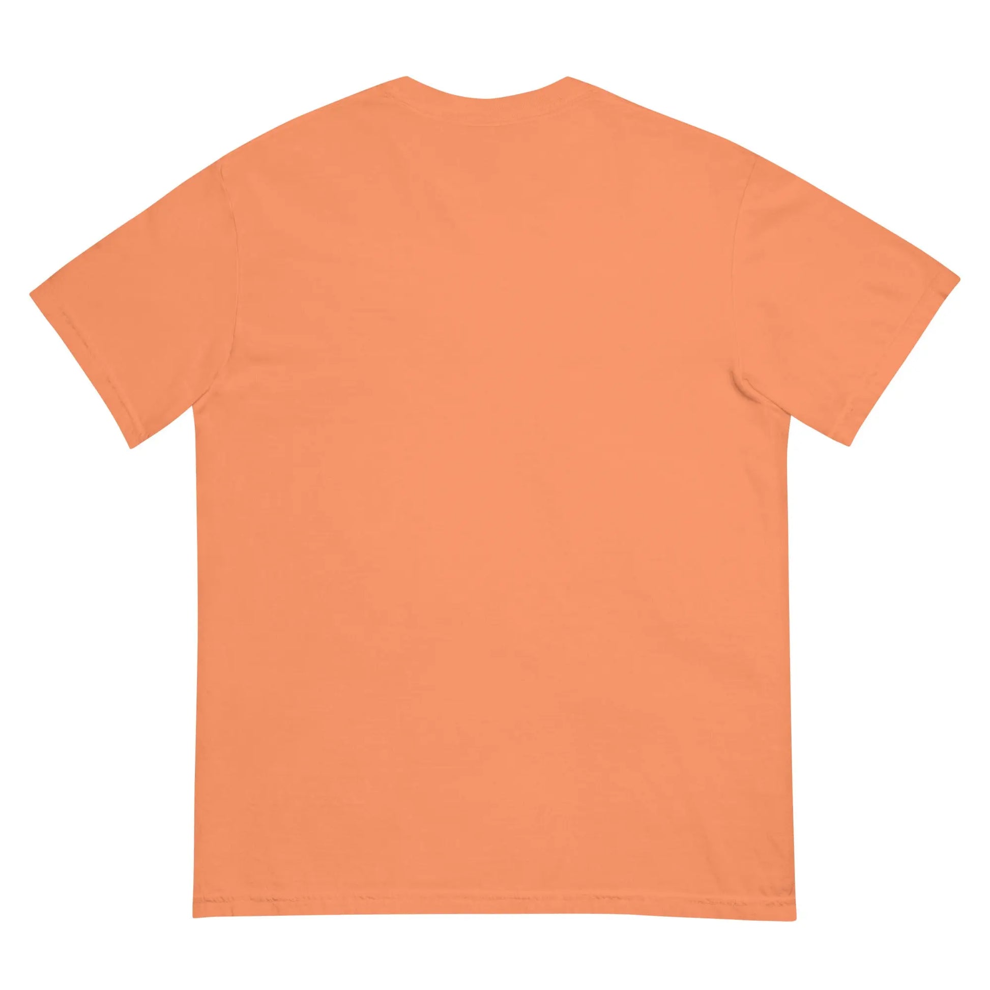 Unisex garment-dyed heavyweight t-shirt-LifessentialsLLC.com