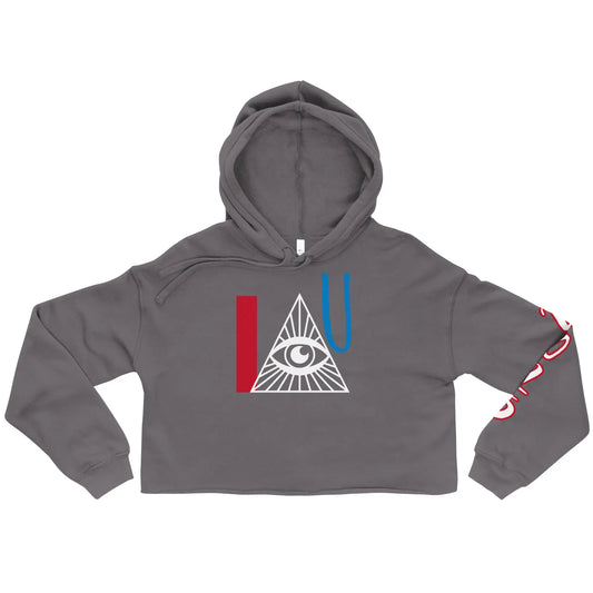 Crop Hoodie-LifessentialsLLC.com
